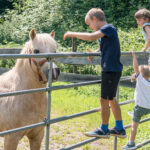Ferien auf dem Bauernhof - Ponys streicheln